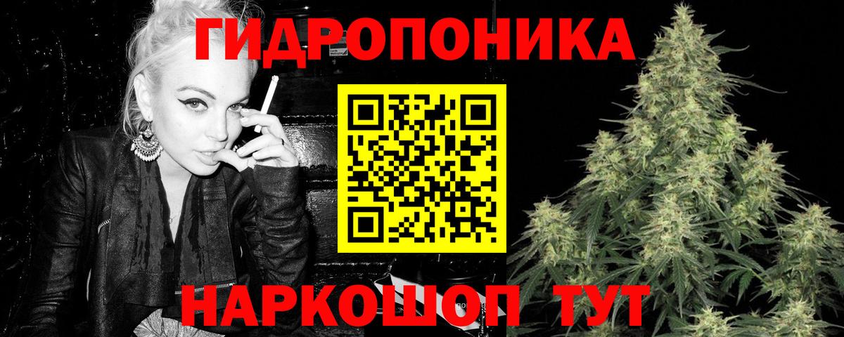 Конопля марихуана Нарткала